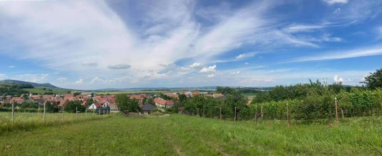 Prazdninovy Dum Na Palave S Vinnym Sklepem Milovice  エクステリア 写真