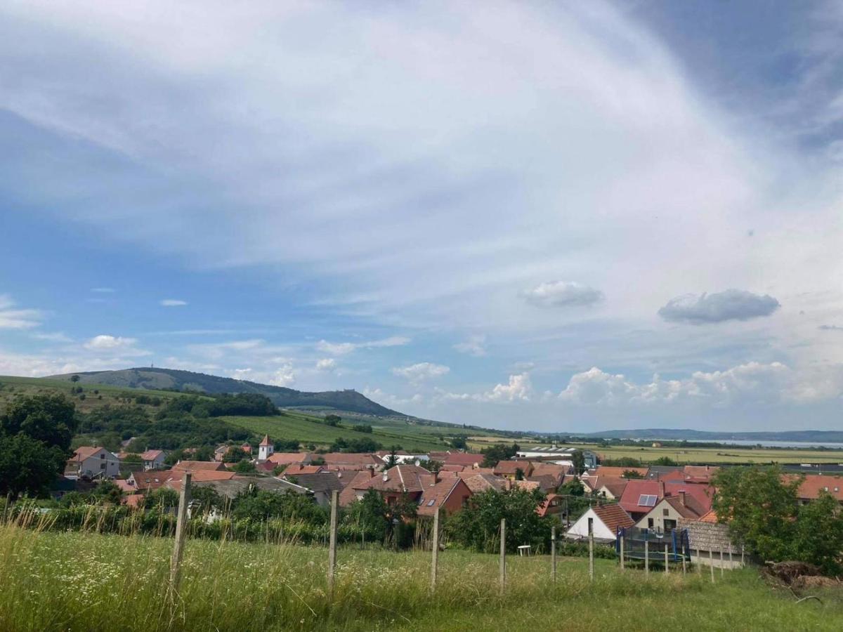Prazdninovy Dum Na Palave S Vinnym Sklepem Milovice  エクステリア 写真